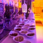 Hotel Astrea Wellness &