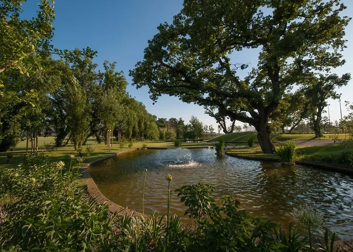 Astrea Wellness & 5*